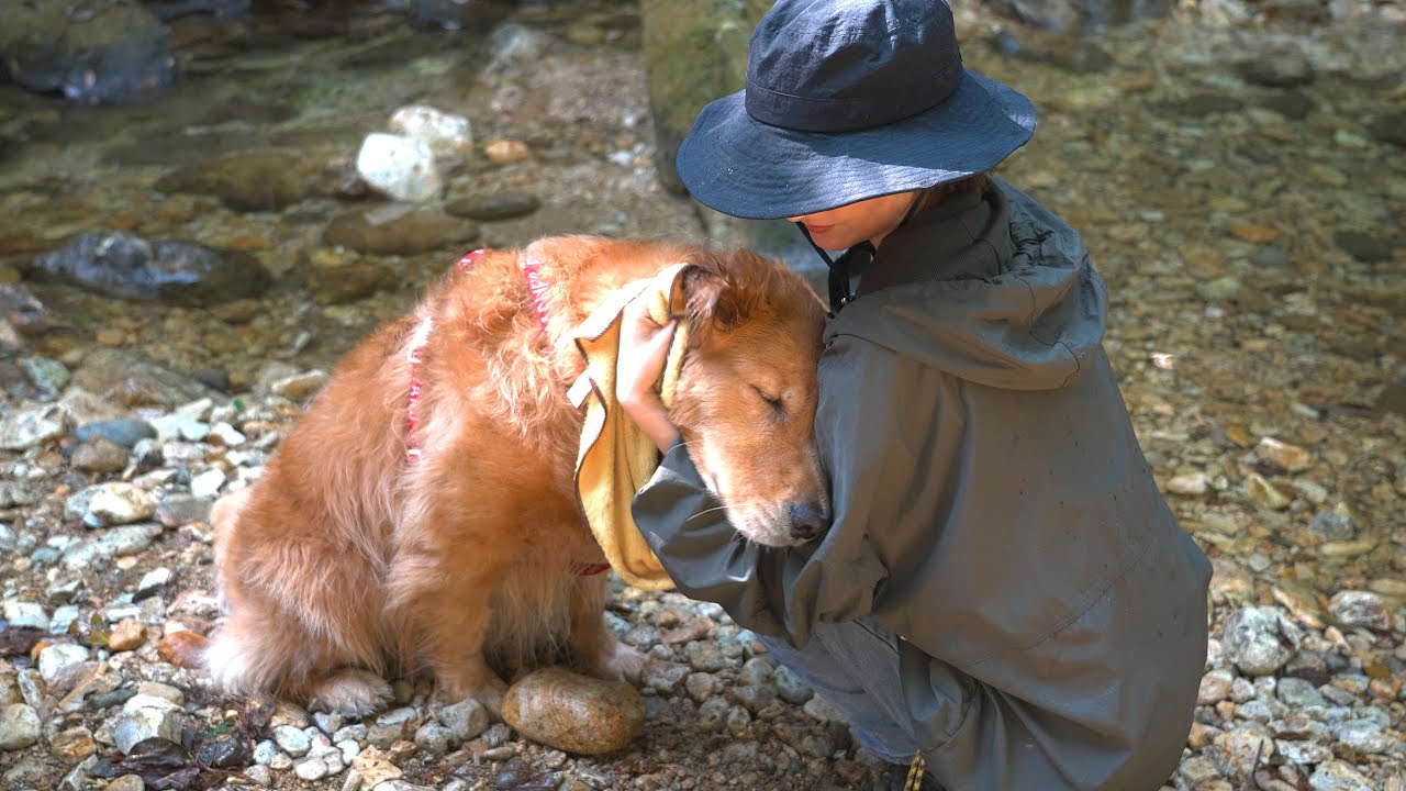 登山と川遊び同時にしたら愛犬が腕の中で寝落ち寸前なんですがw