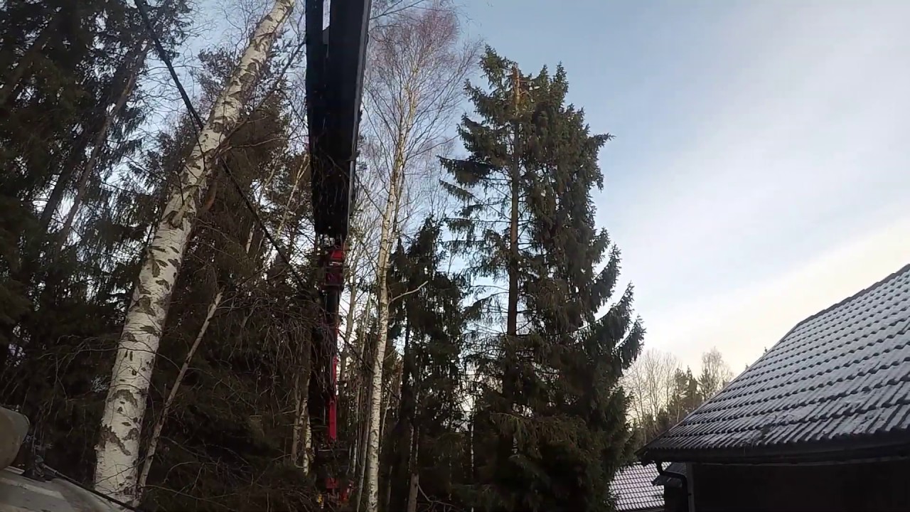Tilted spruce going down with Palfinger 29002