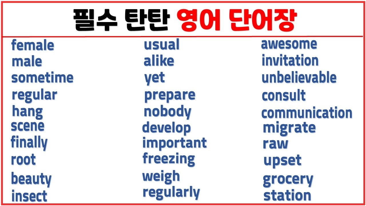 필수 탄탄 영어 단어장 / 30개 모아 보기 (3탄) / 매일 새로운 영어 단어를 단어장에 써보세요