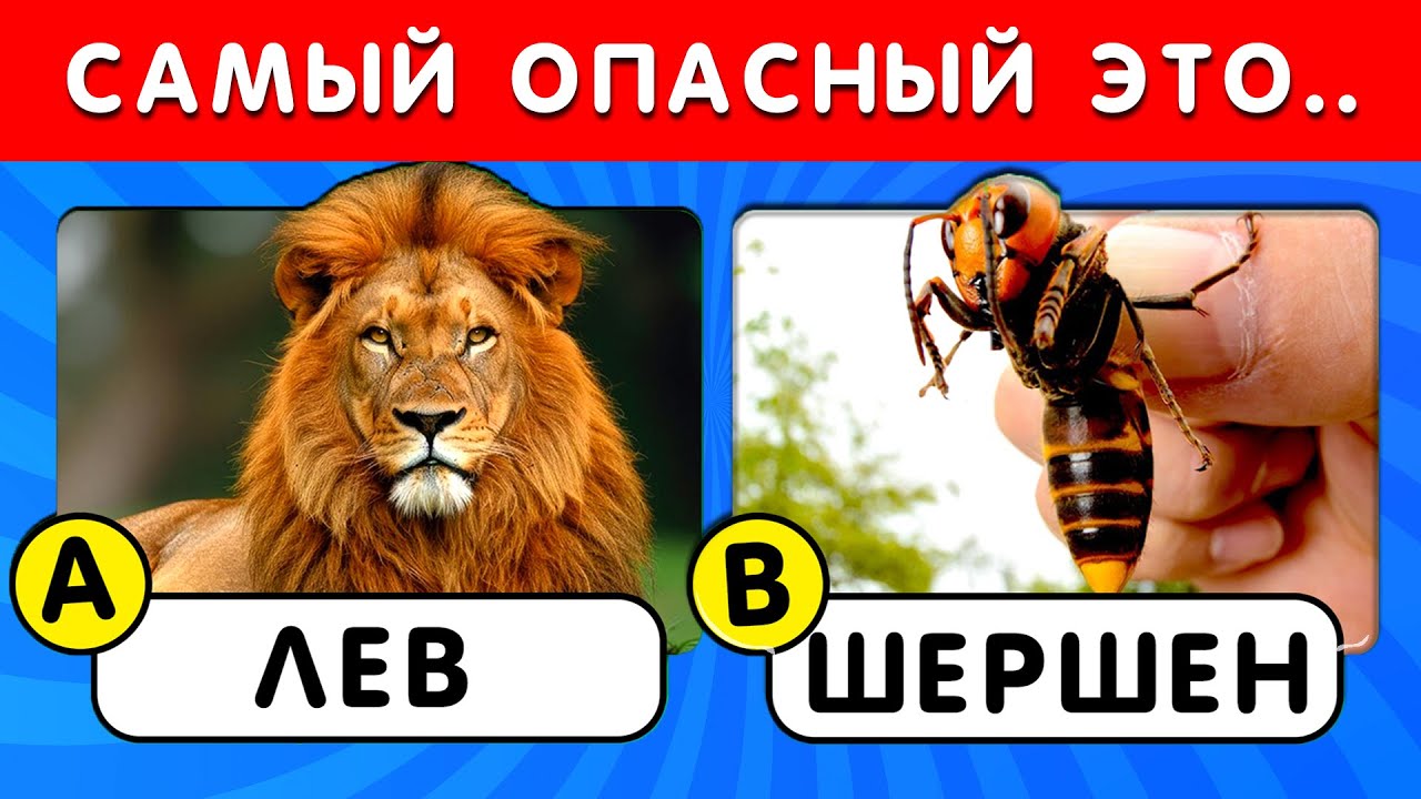 🧠 50 ВОПРОСОВ О ЖИВОТНЫХ 🦁🐘✅ Насколько хороши ваши знания?