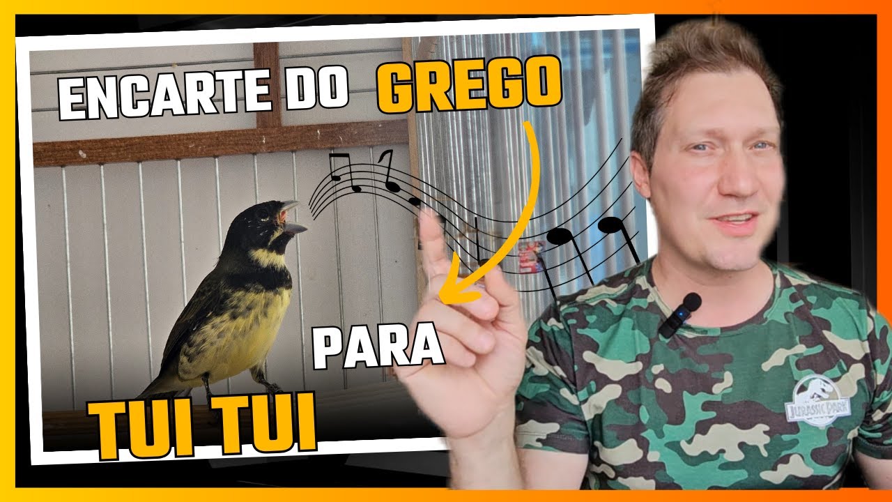COMO MUDAR DO CANTO GREGO AO TUI TUI COLEIRO E PAPA-CAPIM