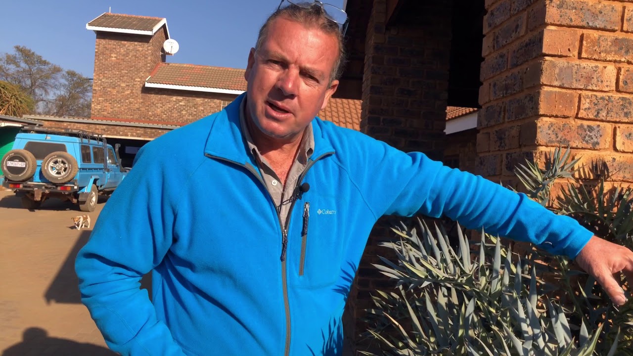 Cycad Pollination
