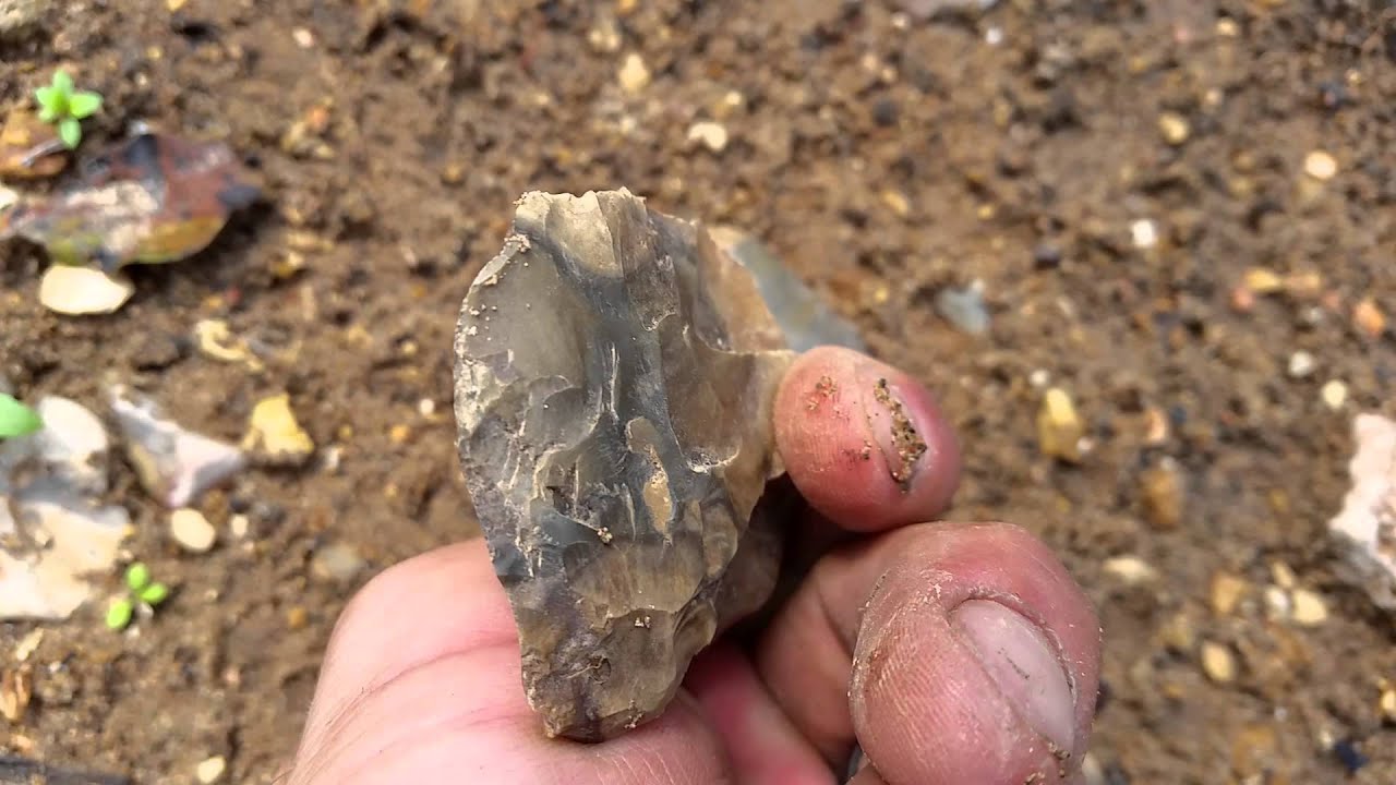 Today's killer bird point arrowhead!