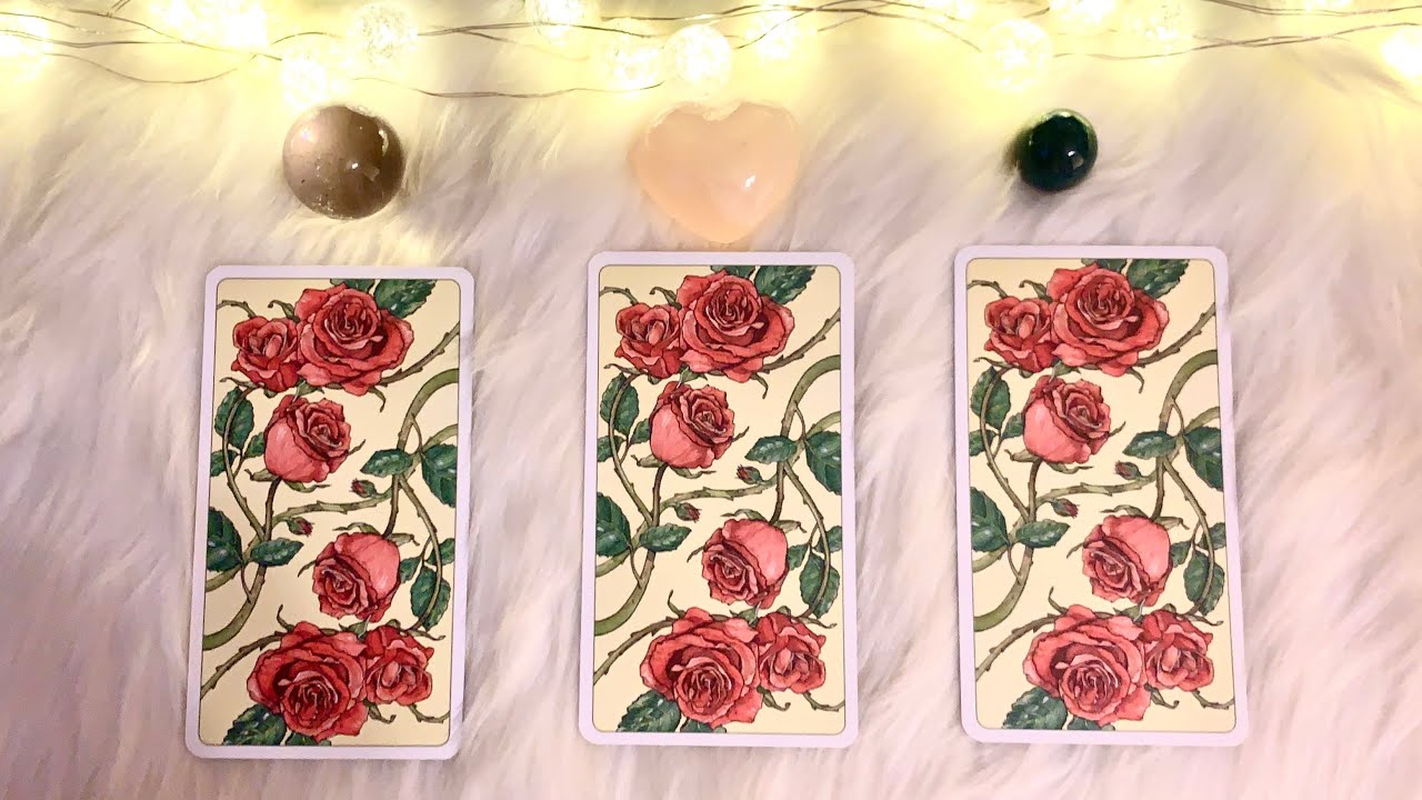 Will You Be Happy If You Choose This Person?⚠️Timeless Tarot Reading