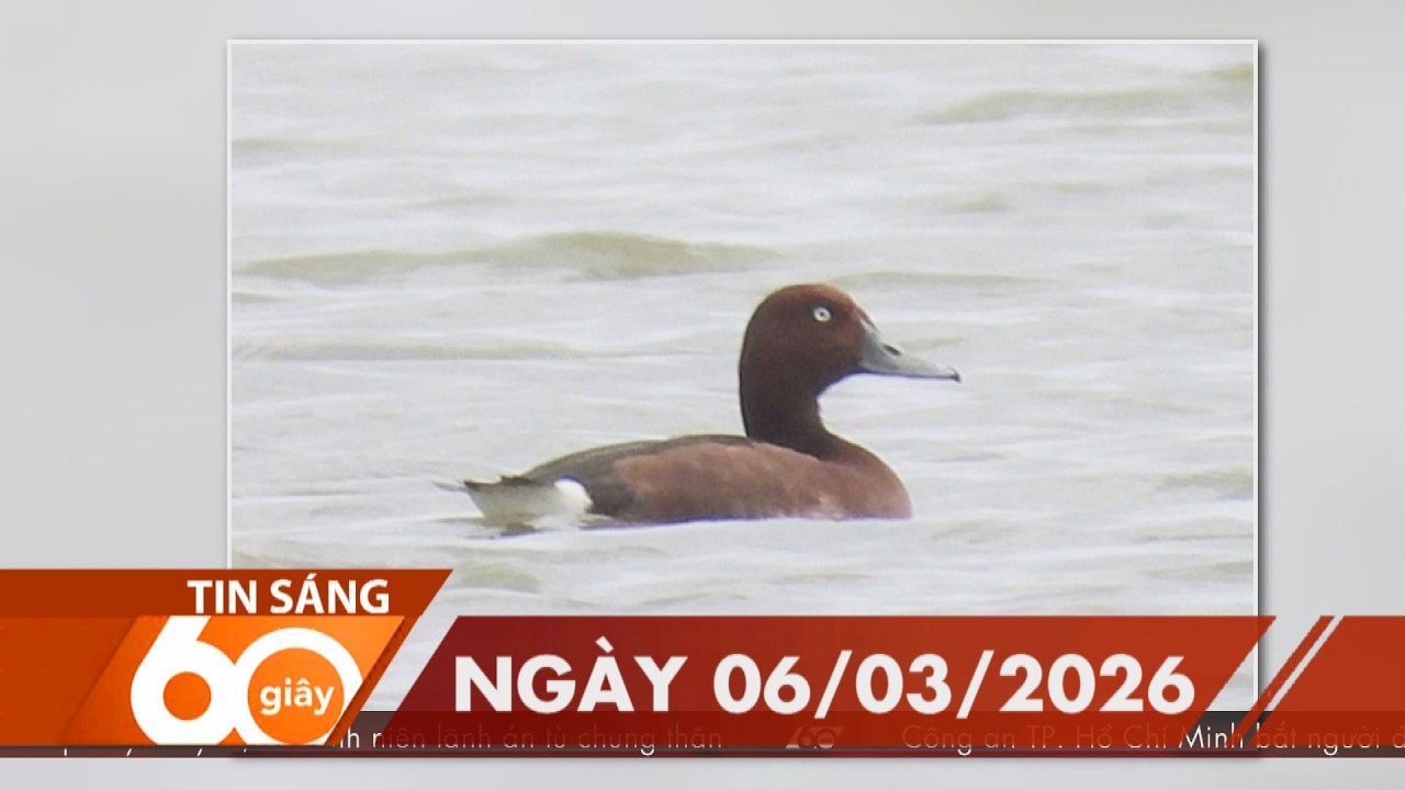 60 Giây Sáng - Ngày 06/03/2026 | HTV Tin tức
