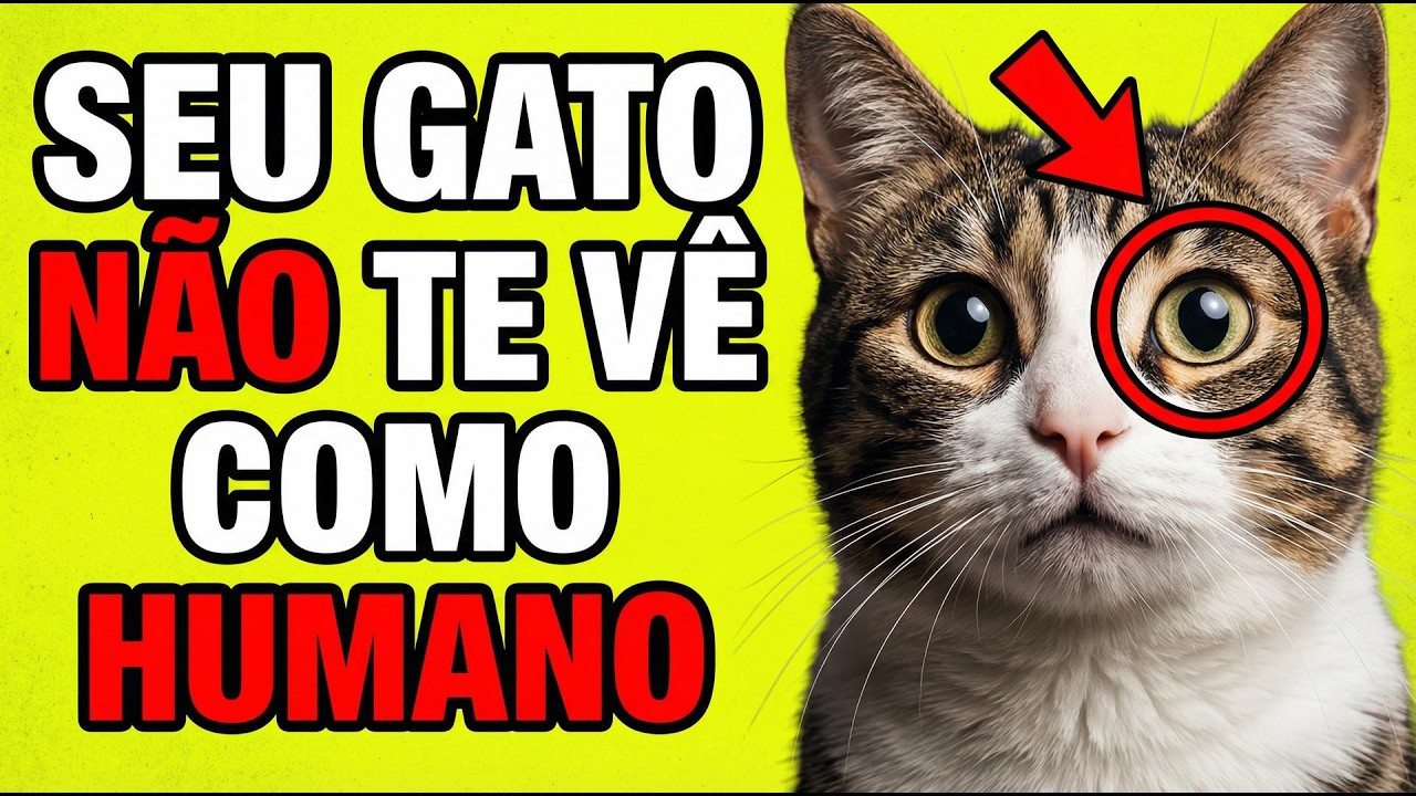 Seu Gato Nunca Te Viu Como Humano — E Isso Muda Tudo
