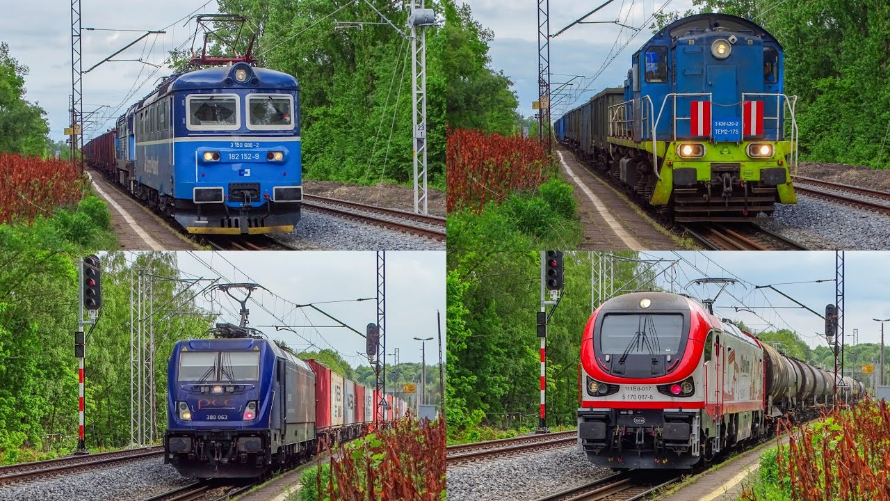 Skoda 182 & Nurek 753 CD Cargo, TEM2 Tabor Rail, Gama Olavion i Kolprem i inni | Bytom Północny