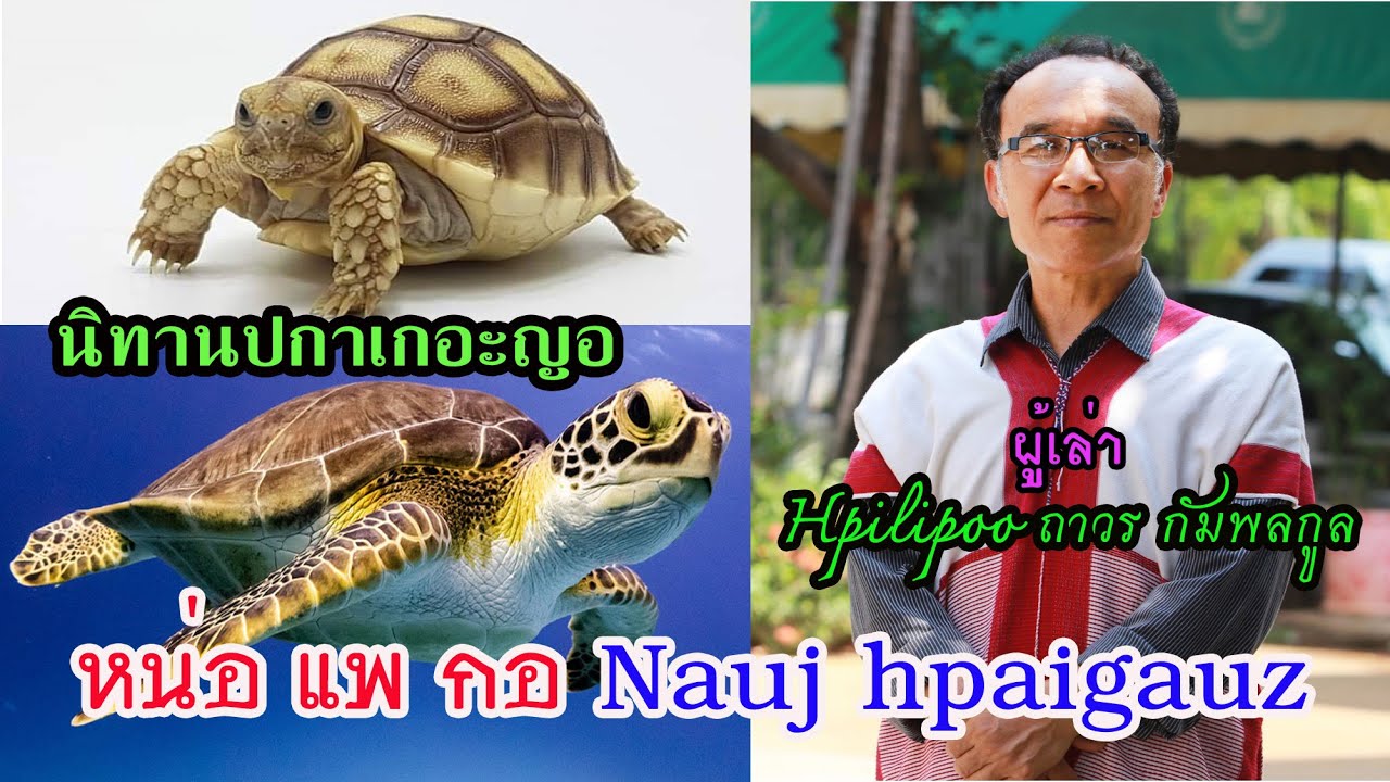 Nauj hpaigauz หน่อ แพ กอ