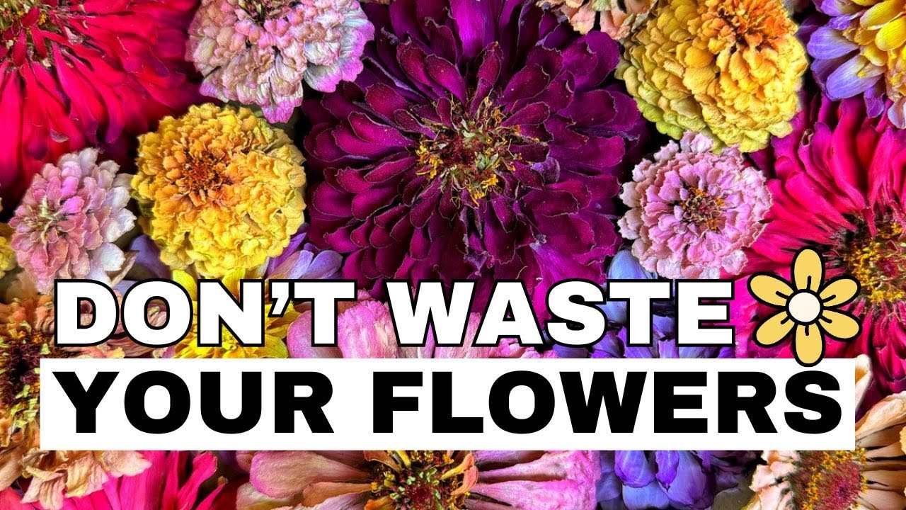Let&rsquo;s Make DRIED FLOWER ART 🌸 How to Dry Flowers 🌸 DIY Home Decor From Your Flower Garden