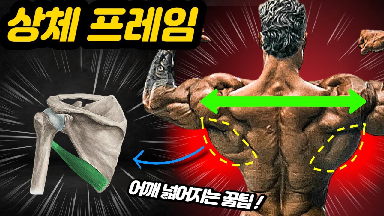어깨 프레임 넓히려면 제발 무조건 '이 운동' 해보세요 (빠르게 프레임 넓어지는 운동 6가지)