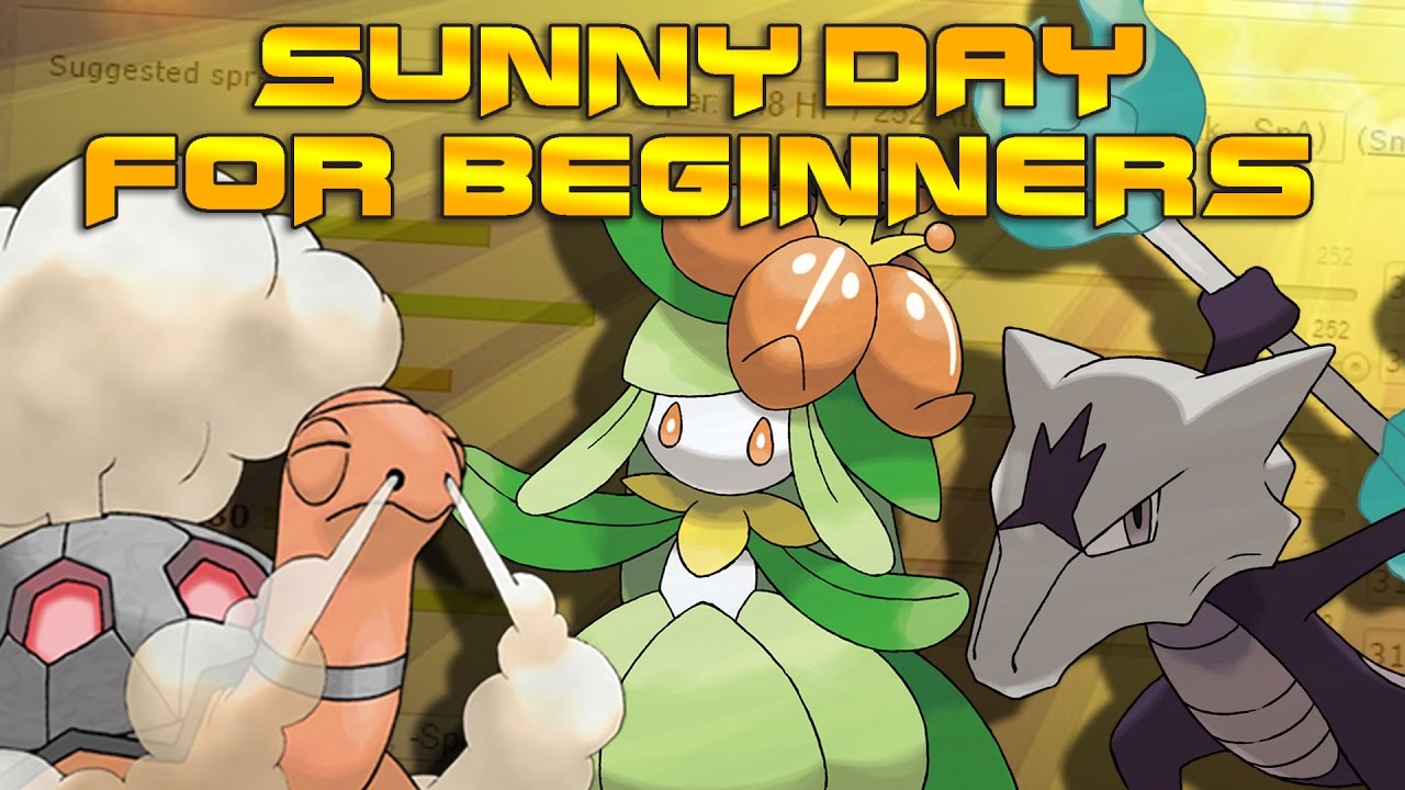 Sunny Day Guide for Beginners!