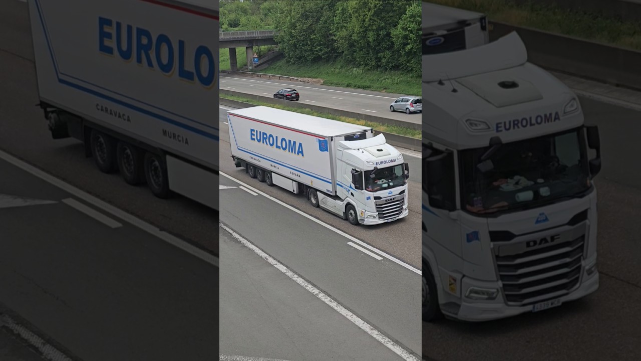 DAF truck from Spain!🇪🇸 #daf #daftruck #trucks #eurotrucksimulator2 #spain #espa&ntilde;a #truck #highway
