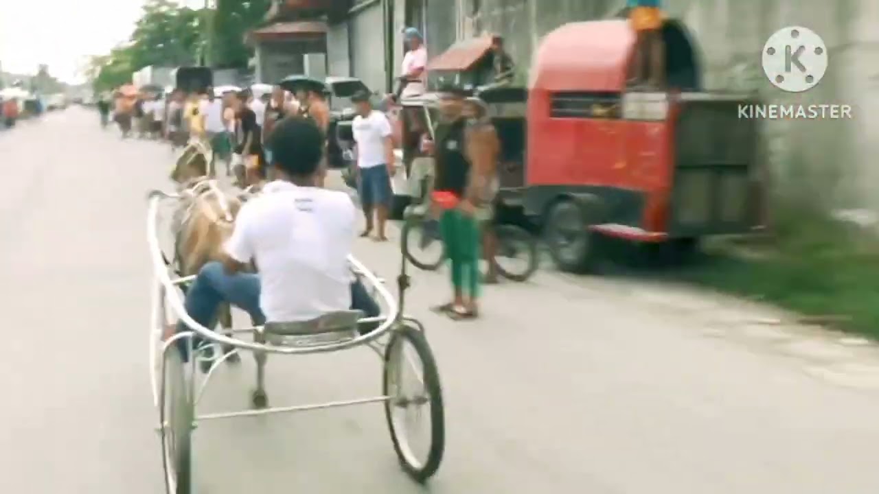 tiburin race 2023// karera Ng kabayo sa Cruz guiguinto Bulacan April 30,2023 Part 1