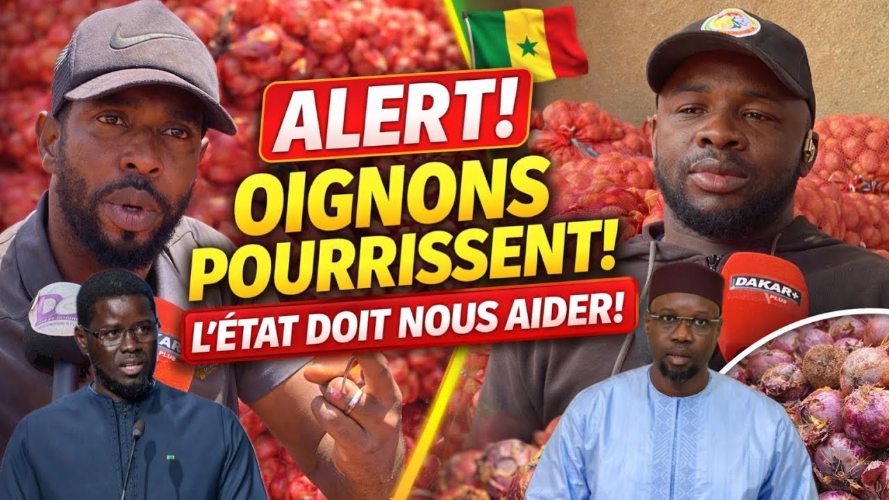 La colère noire des vendeurs d’oignons et pommes de terres,Etat bi diémoul dara…Ousmane Sonko wakhou