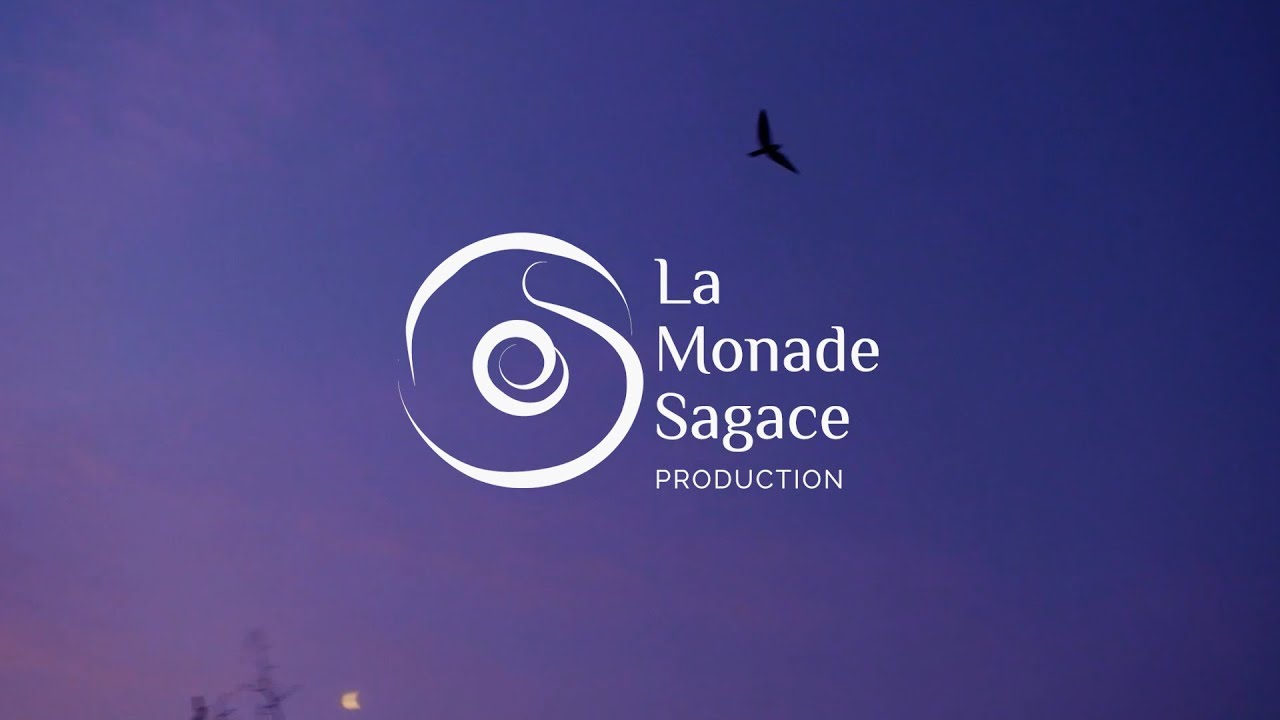 Bande D&eacute;mo 2019 | La Monade Sagace