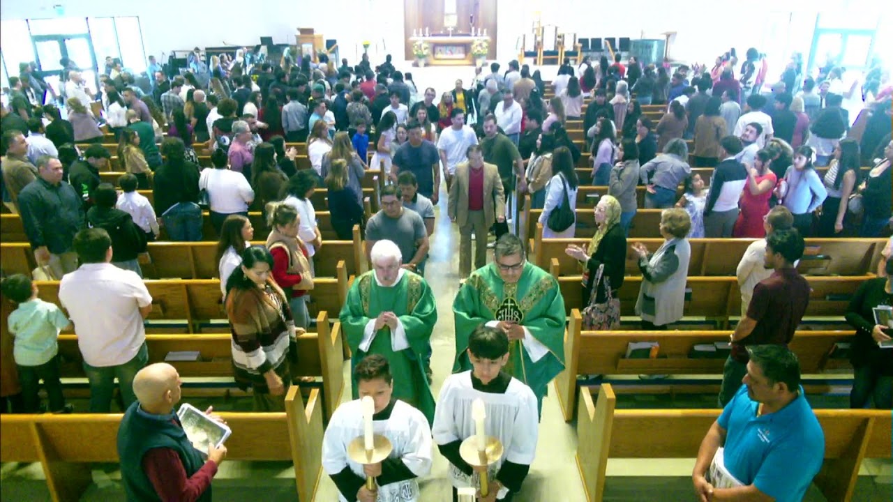 Iglesia Catolica St Dominic // Feb 08-2026, Domingo V Del Tiempo Ordinario// Padre Fernando Diaz