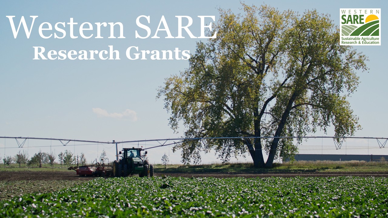 Why Apply for a Western SARE Research & Education Grant