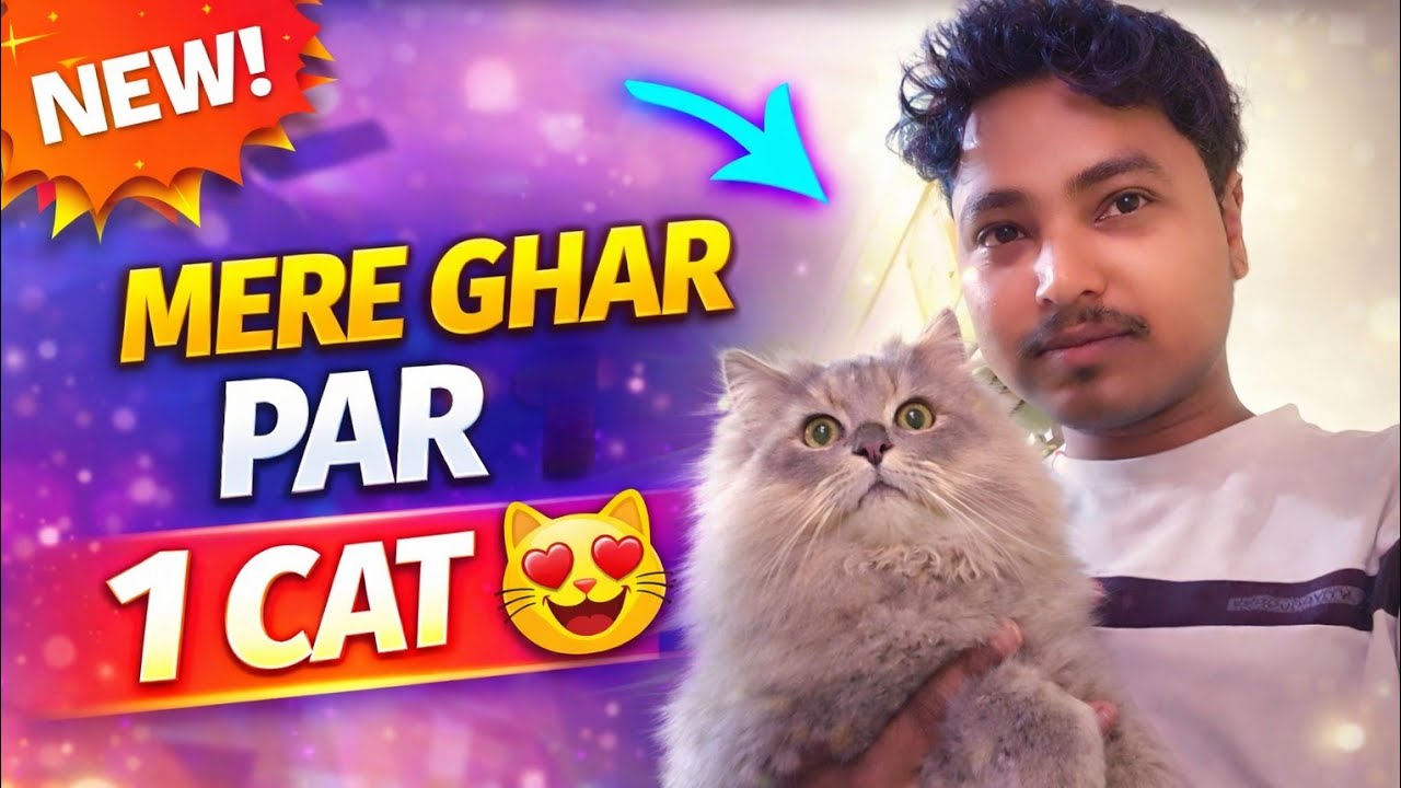 Mere Ghar Par Aayi 1 Cat 🐈 | Cute Cat Vlog 😍 