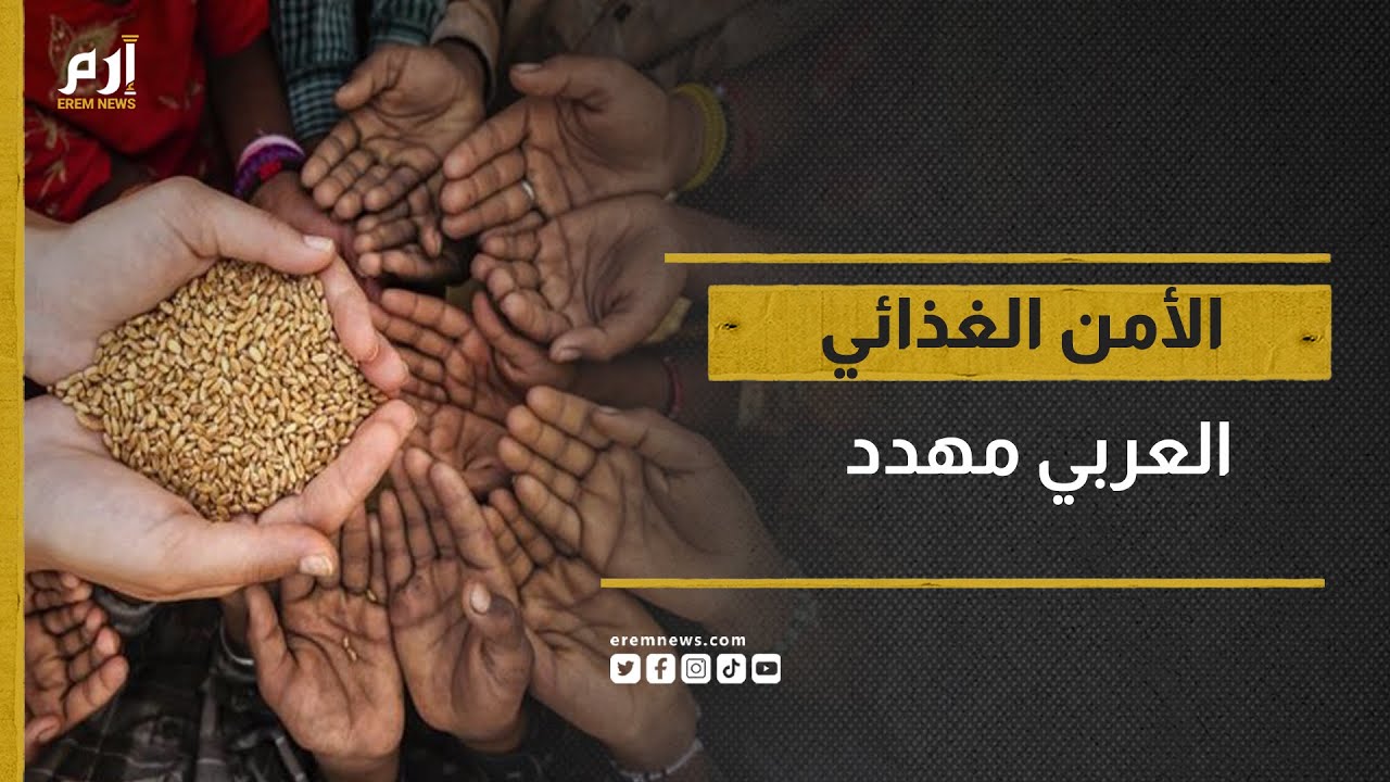 الأمن الغذائي العربي مهدد.. تقرير أممي يحذر