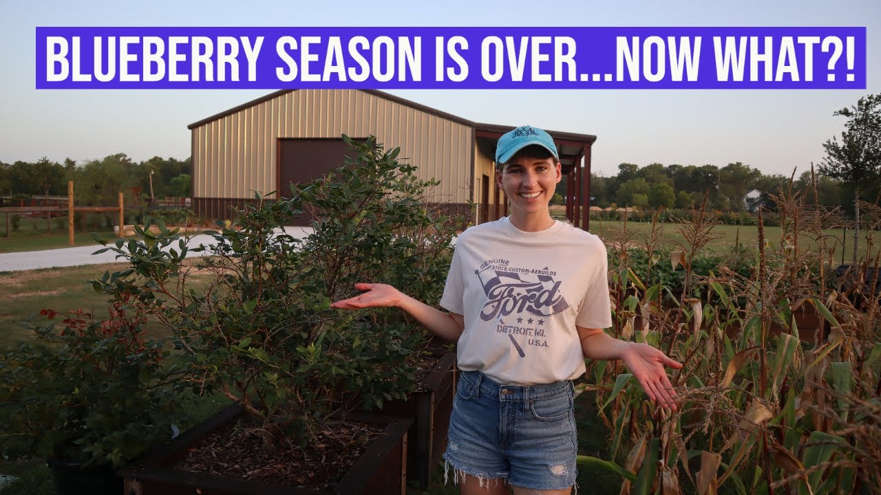 Blueberry Season is Over...Now What?!