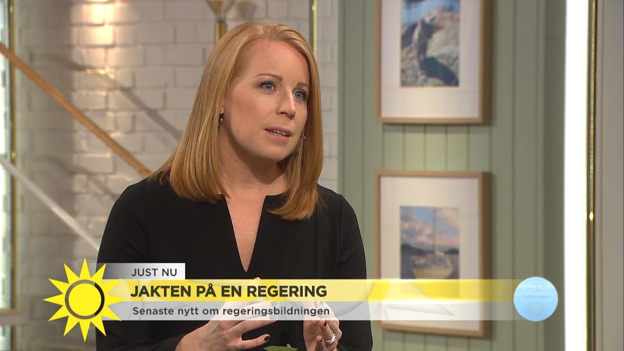 Annie Lööf: "Osannolikt att vi ändrar uppfattning" - Nyhetsmorgon (TV4)