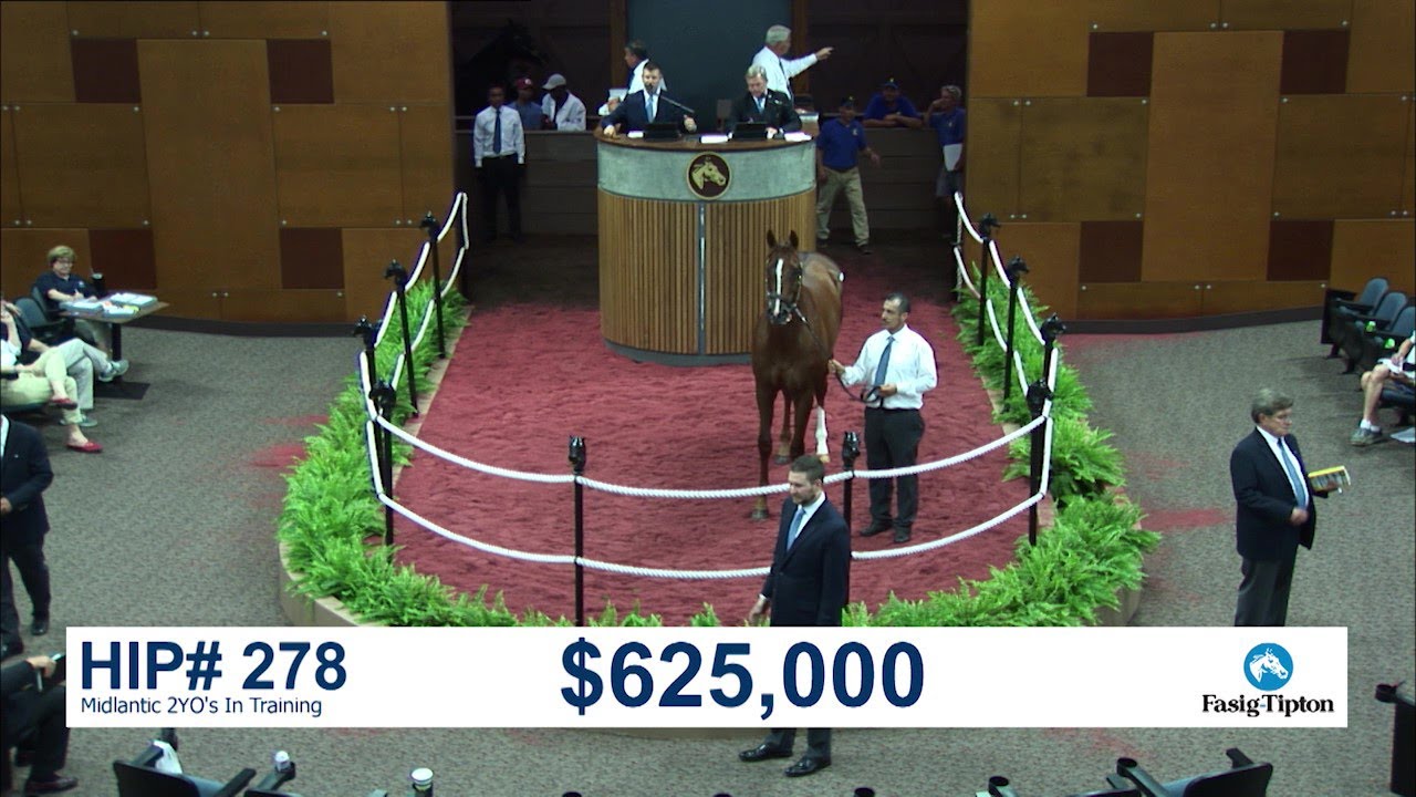 Before They Were Stars: MUCHO GUSTO at the Midlantic 2YO's in Training Sale (2018)
