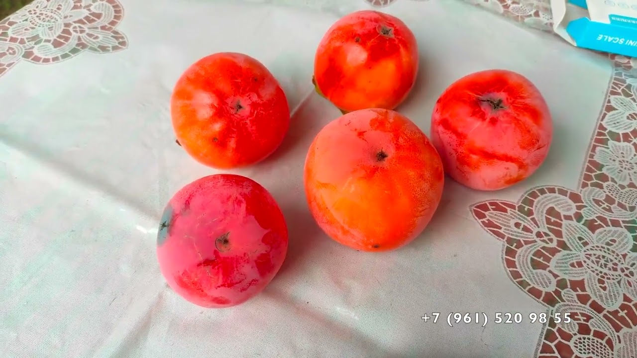 Таинство опыления хурмы - результат !