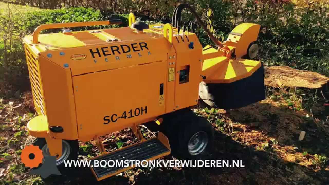 Hoe verwijder je een boomstronk?