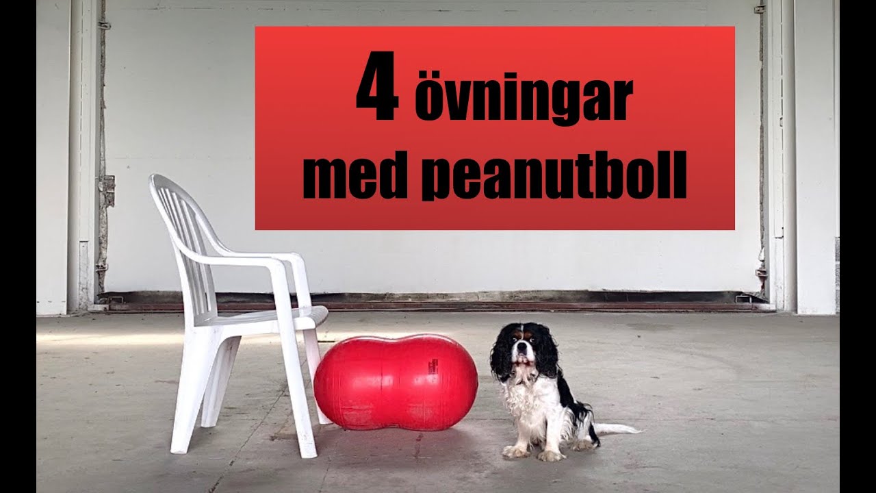 Fyra bra övningar med peanutboll