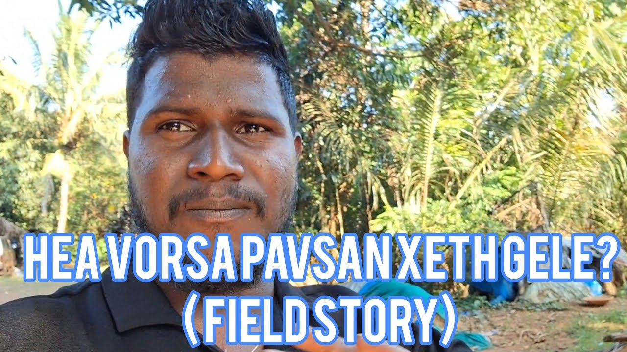 Hea vorsa pavsan xeth gele?( Field story) / new konkani vlog #goavlog #konkanivlog #foryou #movin 