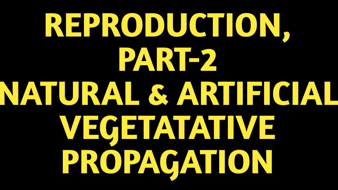 Natural & ArtificialvegetativePropagation methods|Reproduction|Part-2|#Jithender's Biology| Class-10