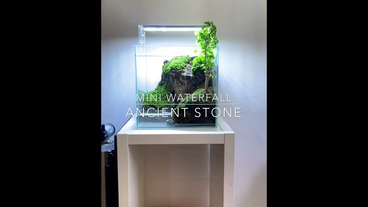 Waterfall aquarium terrarium with Ancient Stone