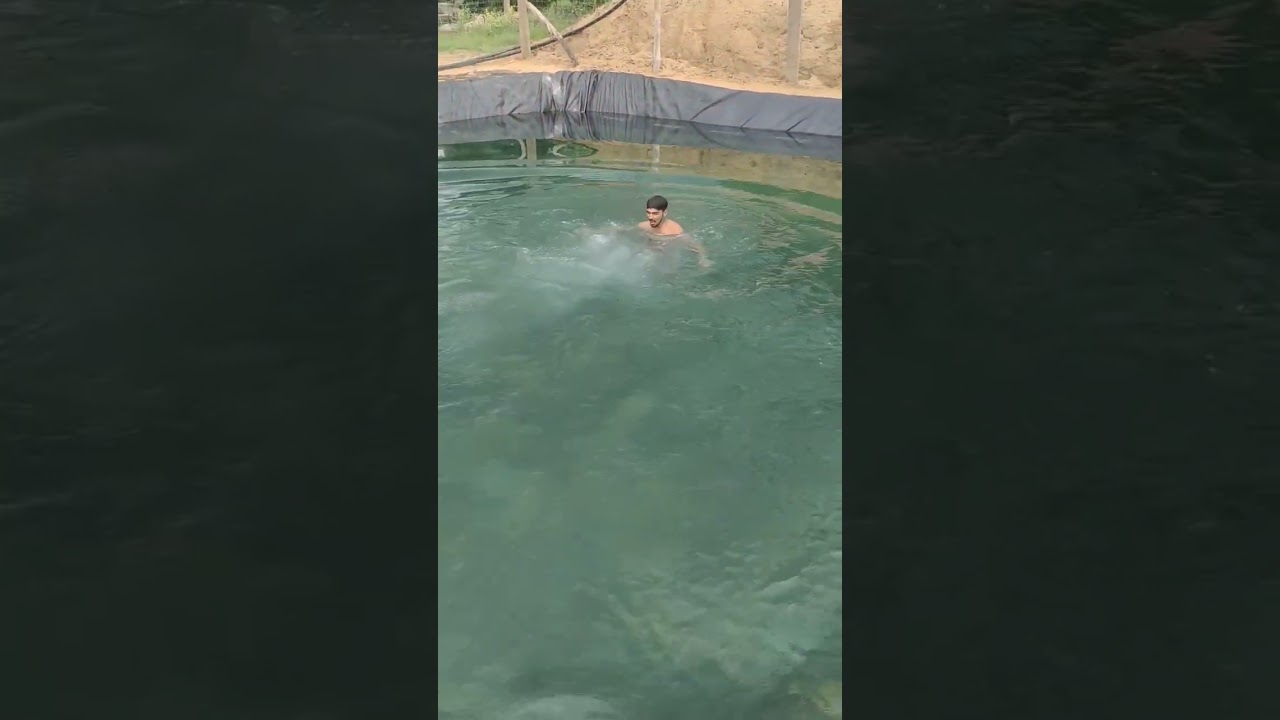 desi swimming pool 😉😉#youtube #swiming #desi #mr indian hacker