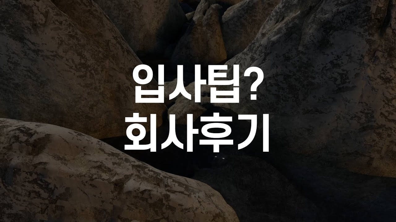 모션그래픽 디자이너 입사팁? / 회사 별 후기