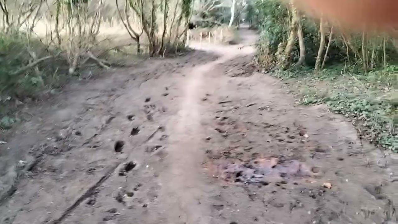 Turbary Common update 1st April 2025 Huge Change.