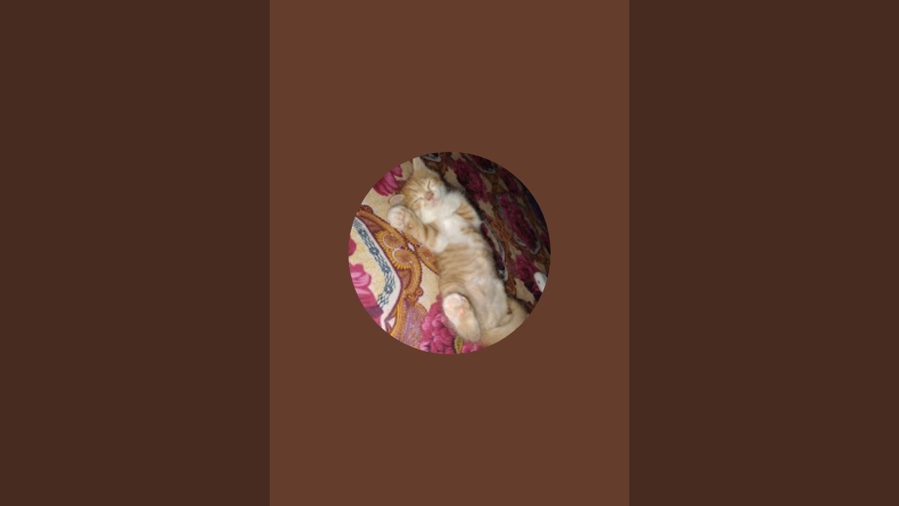 Lucy_felix_story is live
