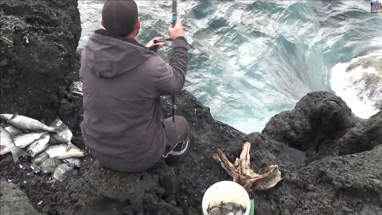 10 3 2024 PESCA DE TAINHAS