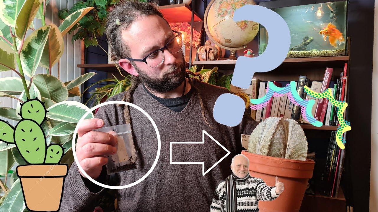 COMMENT semer des cactées🌵(ou autres plantes de milieux secs)☀️ Hortus Talk #4