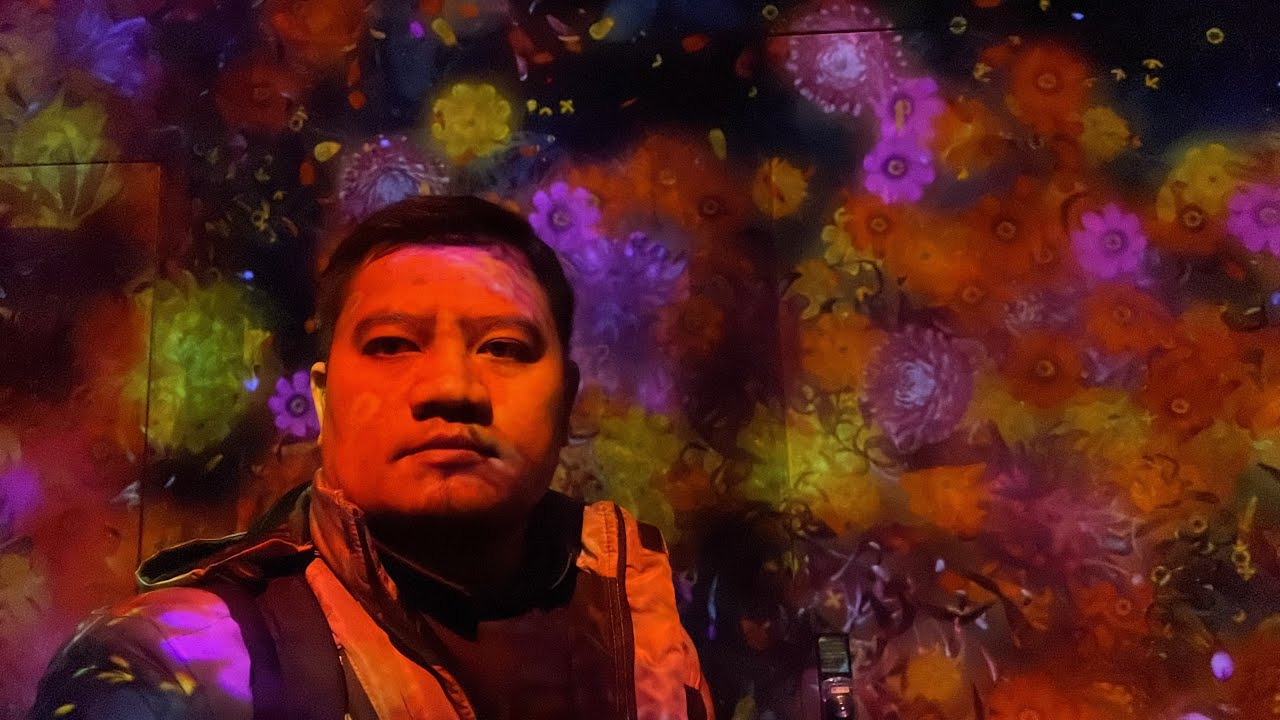 Japan’s trip (Part 4) Teamlab, Tokyo