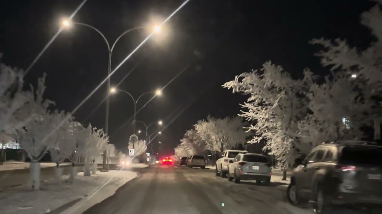 Beautiful frozen trees#winter#calgary#snow 