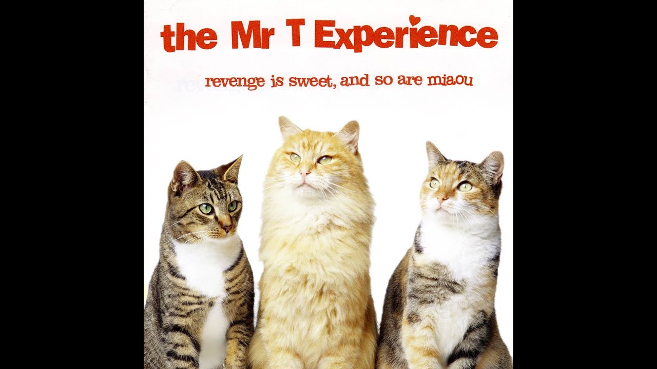 The Mr T Experience - ... and I Will Be with You (RAD-020, 2022 re-issue)