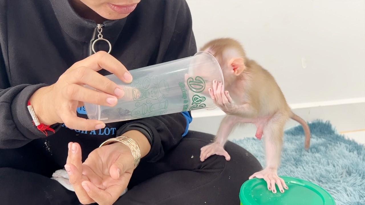 Lil Tauch Surprise Laying Head Into Milk Can Stare Small Insect