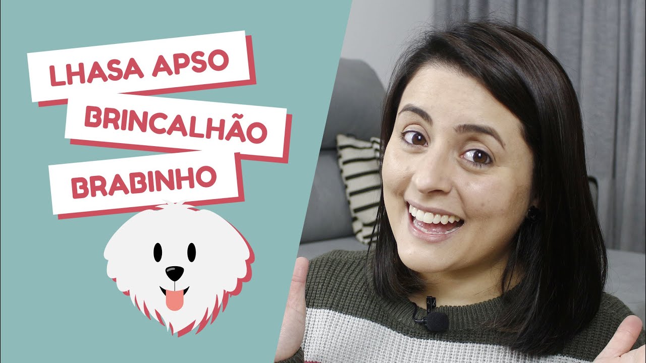 Tudo sobre a raça Lhasa Apso