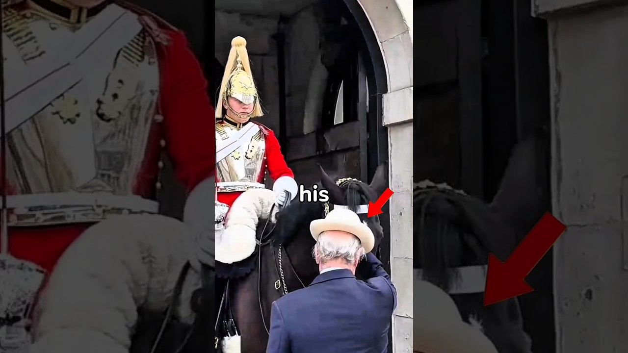 A Veteran Saluted the Royal Guard&hellip; Then He Got a Beautiful Response ❤️