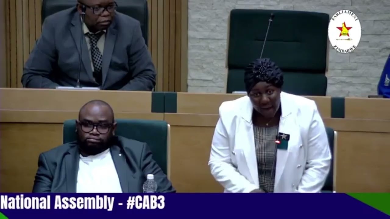 Hon Makumire, Chiredzi Central Member of Parliament making his submission on #CAB3.