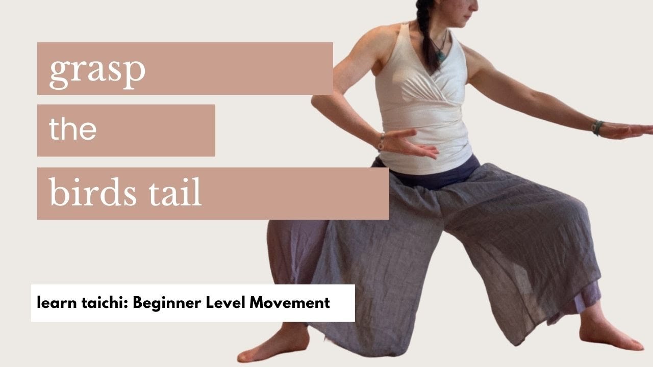 Learn TaiChi: Grasp the Birds Tail