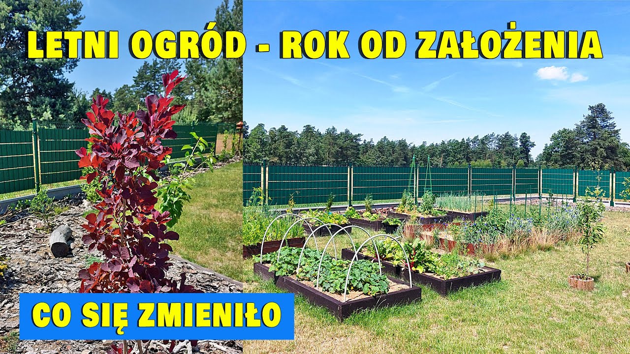 Rok po! Mój Letni Ogród w Lipcu - Szokująca Zmiana! Spacer po Ogrodzie