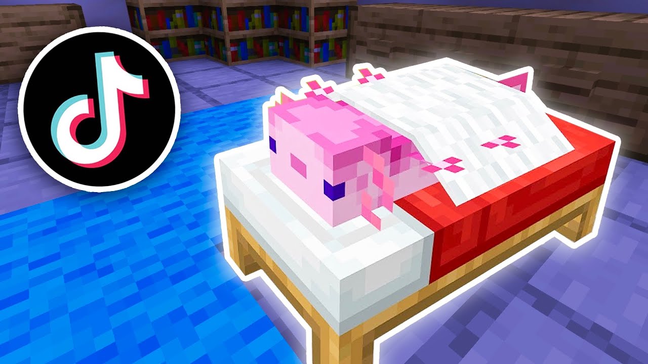 Minecraft Life Hacky které 100% NEZNÁŠ