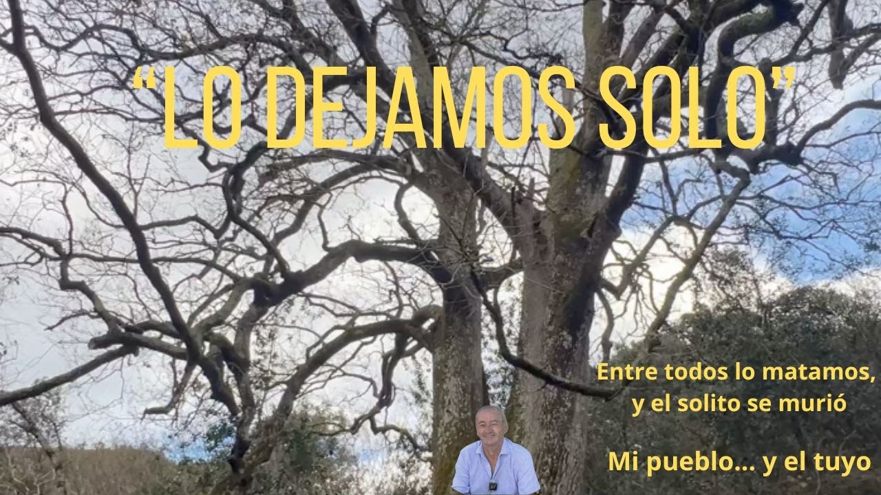 Un árbol y yo. La Historia .
