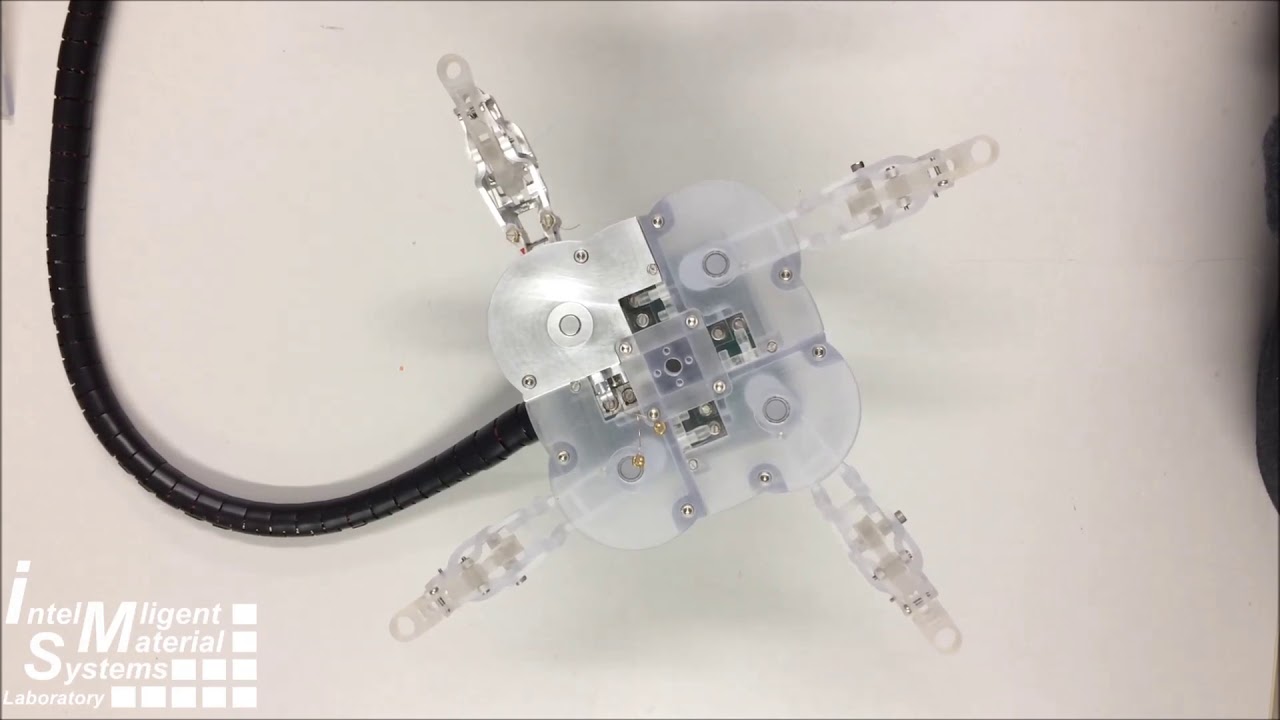 Shape Memory Alloy based reconfigurable End-effector